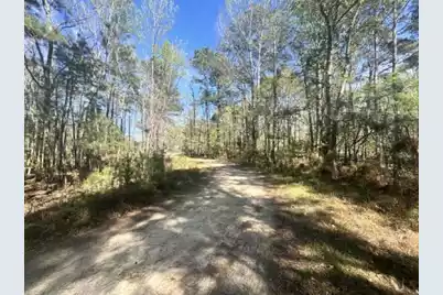 0 Santee Lumber Road, Santee, SC 29142 - Photo 7