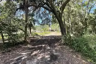 15014 Bennetts Point Rd, Green Pond, SC 29446 - Photo 21