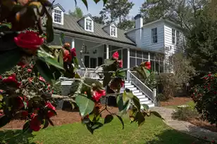517 Carolina Ave W, Summerville, SC 29483 - Photo 85