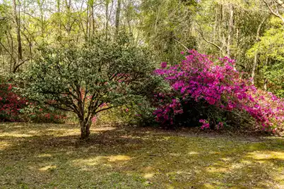 517 Carolina Avenue W, Summerville, SC 29483 - Photo 91