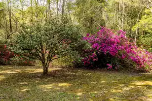 517 Carolina Ave W, Summerville, SC 29483 - Photo 91