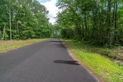 00 Deneaux Road, Rowesville, SC 29133 - Photo 3