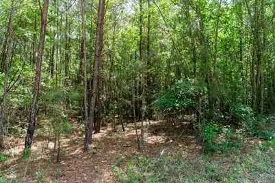 00 Deneaux Road, Rowesville, SC 29133 - Photo 11