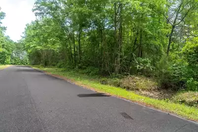 00 Deneaux Road, Rowesville, SC 29133 - Photo 1