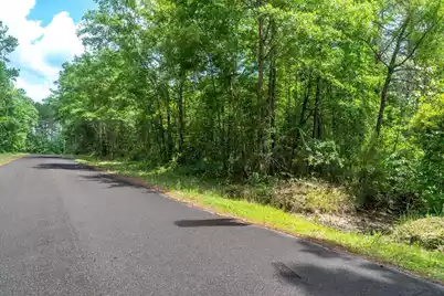00 Deneaux Road, Rowesville, SC 29133 - Photo 3
