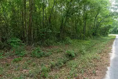 00 Deneaux Road, Rowesville, SC 29133 - Photo 11