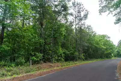 00 Deneaux Road, Rowesville, SC 29133 - Photo 5