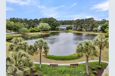 3438 Attley Street, Mount Pleasant, SC 29466 - Photo 53
