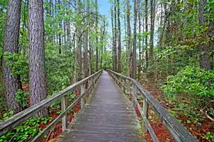 3438 Attley St, Mount Pleasant, SC 29466 - Photo 61