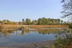 2772 Oak Manor Dr, Mount Pleasant, SC 29466 - Photo 73