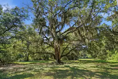 7817 Little Britton Road #Lot C-1-B, Meggett, SC 29449 - Photo 5