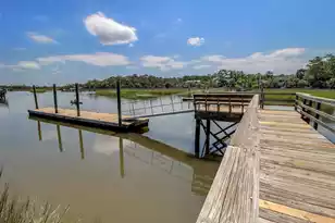 3379 Shagbark Cir, Mount Pleasant, SC 29466 - Photo 61