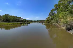 3379 Shagbark Cir, Mount Pleasant, SC 29466 - Photo 63