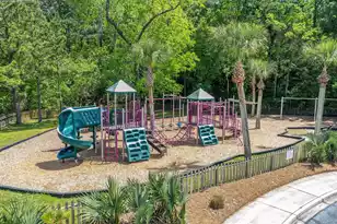 3379 Shagbark Cir, Mount Pleasant, SC 29466 - Photo 69