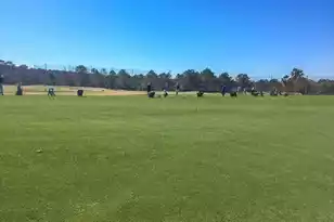 4144 Egrets Point, Mount Pleasant, SC 29466 - Photo 41