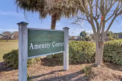 535 Delafield Drive, Summerville, SC 29483 - Photo 45