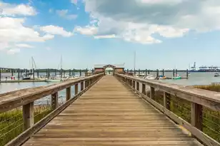 320 Longshore St, Charleston, SC 29492 - Photo 49