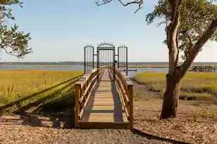 3059 Maritime Forest Dr, Johns Island, SC 29455 - Photo 87