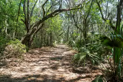 2627 Starfish Drive, Johns Island, SC 29455 - Photo 55