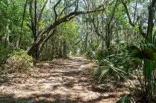2627 Starfish Dr, Johns Island, SC 29455 - Photo 55