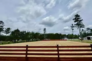 125 Chancing Bye Ln, Huger, SC 29450 - Photo 39