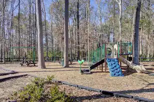 113 Garden Grove Dr, Summerville, SC 29485 - Photo 33