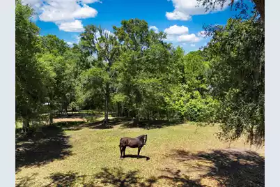 5068 Sweetgrass Farm Road, Johns Island, SC 29455 - Photo 85