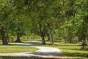 5068 Sweetgrass Farm Rd, Johns Island, SC 29455 - Photo 75