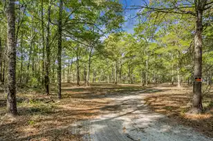 202 Belmont Dr, Walterboro, SC 29488 - Photo 1