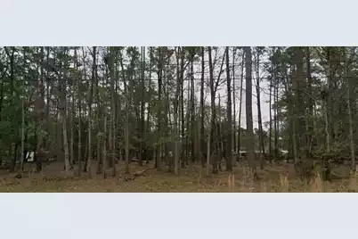 0-3 Hazel Street, Walterboro, SC 29488 - Photo 3