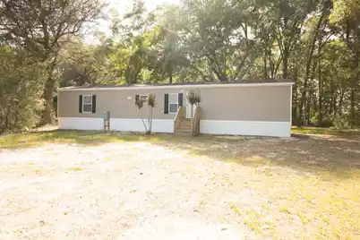 141 Mount Carmel Road, Walterboro, SC 29488 - Photo 1