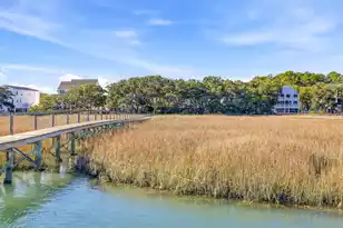 46 High Hammock Way, Pawleys Island, SC 29585 - Photo 47