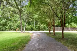 1624 Lonnie Taylor Ln, Wadmalaw Island, SC 29487 - Photo 13