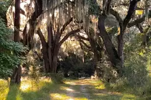 4248 Hugh Bennett Dr, Johns Island, SC 29455 - Photo 101