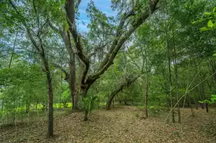 4248 Hugh Bennett Dr, Johns Island, SC 29455 - Photo 73