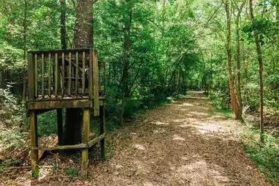 0 Parnel Road, Cope, SC 29038 - Photo 11