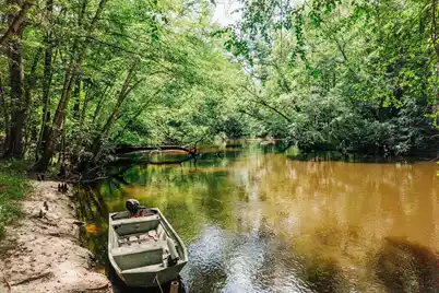 0 Parnel Road, Cope, SC 29038 - Photo 7