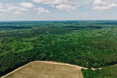 1 Parnel Road, Cope, SC 29038 - Photo 1