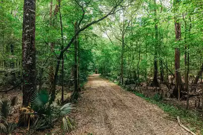 1 Parnel Road, Cope, SC 29038 - Photo 13