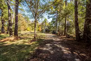 5950 Lowell Reed Rd, Ravenel, SC 29470 - Photo 97