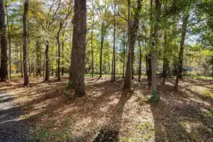 5950 Lowell Reed Rd, Ravenel, SC 29470 - Photo 111