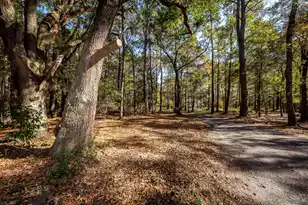 5950 Lowell Reed Rd, Ravenel, SC 29470 - Photo 113
