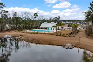 87 Red Blf St, Summerville, SC 29483 - Photo 41