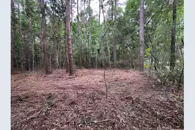 0 River Road #A-2, Johns Island, SC 29455 - Photo 3