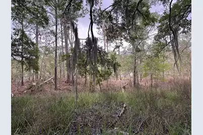 0 River Road #A-4, Johns Island, SC 29455 - Photo 5