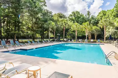 224 Sugar Magnolia Way, Charleston, SC 29414 - Photo 61