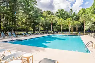 224 Sugar Magnolia Way, Charleston, SC 29414 - Photo 61