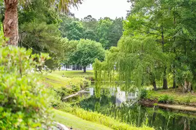 224 Sugar Magnolia Way, Charleston, SC 29414 - Photo 55
