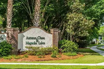 224 Sugar Magnolia Way, Charleston, SC 29414 - Photo 57