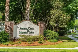 224 Sugar Magnolia Way, Charleston, SC 29414 - Photo 57